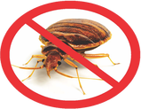 Bed bug exterminator SW Florida- Affordable bed bug treatment using heaters