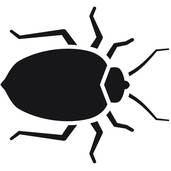 pest control orlando - Why Heat?  Bed bug heat treatment is the #1 choice for killing bed bugs in Orlando.