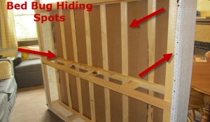 How to check your bed for bed bugs- check the common hiding spots