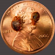 what do florida bed bugs look like- penny