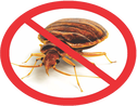 Bed Bugs Florida- How to get rid of bed bugs?  A pest control company near you will be very expensive.  Bed bug treatment is affordable by rent a bed bug heater.  Serving all of Florida